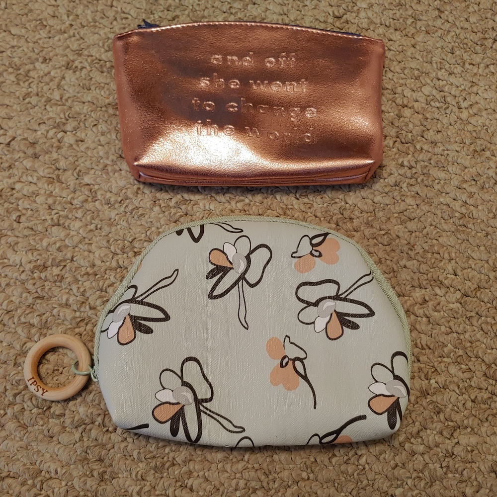 Two ipsy make up bags